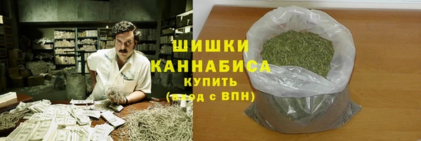 амф Костерёво