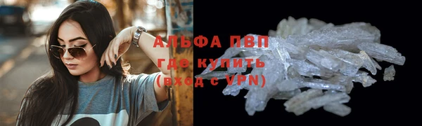 стафф Коряжма