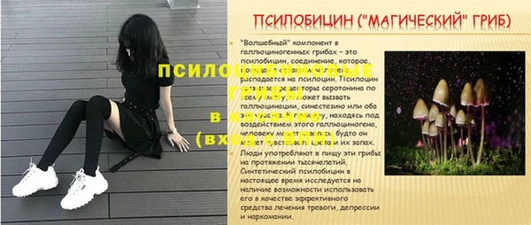амф Костерёво