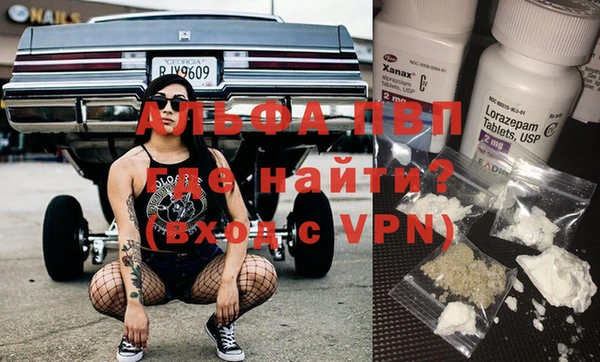 стафф Коряжма