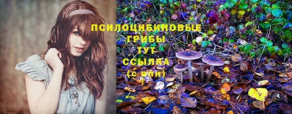 стафф Коряжма