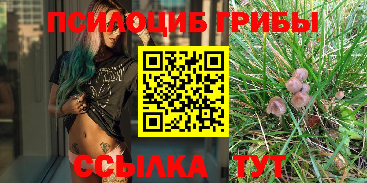 Коломна  Галлюциногенные грибы Psilocybe  Вход с VPN 