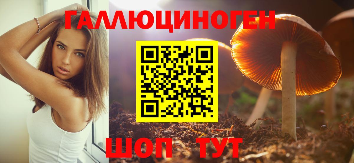 Псилоцибиновые грибы Psilocybe Коломна